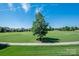 Expansive golf course view under a blue sky featuring a large, mature tree and well-manicured green fairways at 314 Royal Crescent Ln, Waxhaw, NC 28173