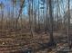 A view of the wooded lot in the back of the property at 44401 Us 52 N Hwy, Richfield, NC 28137