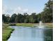 A pond with a water fountain and bridge in a green serene setting at 7001 Conifer Cir, Indian Trail, NC 28079