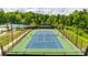 Well-maintained community tennis court surrounded by lush greenery and fencing at 844 Braddock Way, Fort Mill, SC 29715