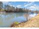 Scenic view of a pond surrounded by trees, providing a tranquil and natural setting at 1751 Holliford Ct, Charlotte, NC 28215