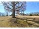 Shows the large lot, shed and trees at 7311 Dogwood Ln, Kannapolis, NC 28081