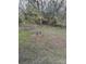 View of the yard with trees and grass from the back of the property at 1010 13Th St # 11, Lancaster, SC 29720