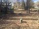 The backyard has a playground set and lots of trees for shade and privacy at 109 Pembrooke Trl # F171, Mount Gilead, NC 27306