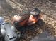 An outdoor shot of a lawn tractor sitting on a pile of leaves in the backyard at 109 Pembrooke Trl # F171, Mount Gilead, NC 27306