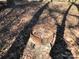 An outdoor fire pit area with a rusty metal fire pit surrounded by fallen leaves and dappled sunlight at 109 Pembrooke Trl # F171, Mount Gilead, NC 27306