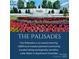 Beautiful entrance to award-winning Palisades community with colorful flower beds and serene water feature at 16725 Cozy Cove Rd, Charlotte, NC 28278