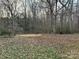 Private wooded backyard offering tranquility and privacy at 135 Natures Way, Mount Holly, NC 28120