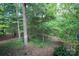 Lush backyard with mature trees offering privacy and shade; a serene natural setting for outdoor enjoyment at 419 Park Ridge Rd, Albemarle, NC 28001