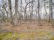 Backyard features mature trees and plenty of shade at 12601 Tucker Crossing Ln, Charlotte, NC 28273