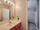 Bathroom featuring a single sink vanity with a wooden cabinet and a well-lit mirror at 12601 Tucker Crossing Ln, Charlotte, NC 28273