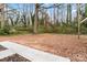 A view of the home's backyard featuring a canopy of trees over a clearing with a concrete patio and wooded backdrop at 5329 Southampton Rd, Charlotte, NC 28217