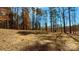 Expansive wooded lot offering privacy and natural beauty, ideal for building your dream home at 12508 Asbury Chapel Rd, Huntersville, NC 28078