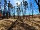 Exterior image of a treed lot with long shadows on a sunny day at 12508 Asbury Chapel Rd, Huntersville, NC 28078