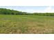 Expansive green field with distant trees, ideal for farming or recreation at 16160 Hopewell Church Rd, Midland, NC 28107