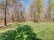 Expansive backyard showcasing manicured lawn, mature trees, and a tranquil, natural landscape at 235 Blue River Rd, Clover, SC 29710