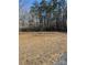 Open land view with scattered trees, offering a sense of peacefulness and natural beauty at 37254 Barnhardt Rd, New London, NC 28127