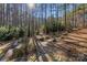 Path to a backyard with seating surrounded by trees and lush landscaping at 4893 River Hills Dr, Denver, NC 28037