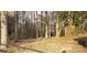 Backyard with tall trees, leaves on the ground, and exposed roots at 501 Catawba N Cir, Matthews, NC 28104
