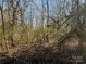 View of a wooded section of the property, offering a peaceful, natural setting at 5909 Crawford Rd, Gastonia, NC 28052