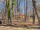 View of the house and backyard with mature trees from a wooded area, showcasing the natural surroundings at 10720 Forest Dr, Matthews, NC 28105