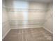 Walk-in closet featuring carpet floors and metal storage shelves at 11005 Cobb Creek Ct, Charlotte, NC 28277