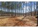 Sprawling backyard area with mature trees, offering a private and natural setting at 119 Mills Garden Rd, Statesville, NC 28625