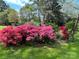 Picturesque garden filled with vibrant pink and red azaleas, creating a beautiful and inviting landscape at 536 S Union S St, Concord, NC 28025