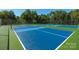 Well-maintained pickleball courts with vibrant blue and green surfaces, set against a backdrop of mature trees at 878 Two Brothers Ln, York, SC 29745