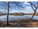 Serene lake view framed by trees, showcasing the tranquility of the waterfront property at 302 Ambleside Village Ln, Davidson, NC 28036