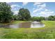 Scenic pond and fountain are surrounded by lush green trees and landscaping at 9423 Belmont Ln, Marvin, NC 28173