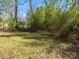 Spacious backyard featuring lots of greenery and natural light at 105 S York St, Lancaster, SC 29720