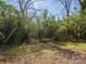 Lush backyard featuring lots of greenery and mature trees at 105 S York St, Lancaster, SC 29720