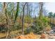 Scenic creek running along the property's border offers a tranquil natural setting at 1310 Seneca Pl, Charlotte, NC 28209
