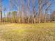 Spacious backyard features a variety of trees at 137 Beaverbrook Rd, Statesville, NC 28677