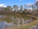 Scenic pond reflecting the surrounding trees and sky with a small walking bridge in a tranquil setting at 14723 Sapphire Ln, Pineville, NC 28134