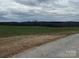 Scenic view of open green fields and distant trees under a cloudy sky, highlighting the property's rural charm at 3423 Crowder Ridge Rd, Shelby, NC 28150