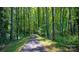 Scenic paved walking trail winding through a lush green forest, ideal for outdoor recreation at 3262 Maple Ridge Dr, Gastonia, NC 28052