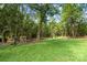 Lush backyard with green grass, mature trees, and space for outdoor activities at 1755 Simplicity Rd, Concord, NC 28025