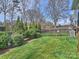 Expansive backyard with lush green lawn and a variety of trees and foliage, perfect for outdoor activities at 1905 Summey Ave, Charlotte, NC 28205