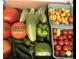 Freshly harvested vegetables, showcasing a variety of colorful tomatoes, cucumbers, and peppers at 623 Plowshare Way, Clover, SC 29710