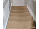 Carpeted stairs lead to the upper level, enhanced with white railings at 12742 Spirit Bound Way, Charlotte, NC 28273