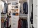 Organized closet with shelving and racks for hanging clothes and storing handbags at 1703 Luther St, Charlotte, NC 28204