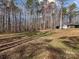 Large wooded yard with sparse grass, shed, and the tranquility of nature at 265 River Run Rd, Statesville, NC 28625