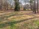 Extensive backyard with lush green space, ideal for outdoor activities and enjoying nature's beauty at 3711 Davis Dr, Charlotte, NC 28270