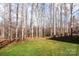 Large backyard with lush grass, perfect for outdoor activities at 618 Bannerman Ln, Fort Mill, SC 29715