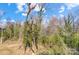Backyard with a treed view at 66 Reed Ne St, Concord, NC 28025