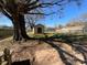 Fenced backyard with mature tree, storage shed and grass at 911 Union Ter, Gastonia, NC 28056