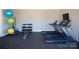 Community gym with treadmills, weights, exercise balls, and mounted television at 109 Dogwood Grove Pl, Troutman, NC 28166