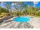 Inviting backyard pool features a diving board, lush landscaping, and a mature tree backdrop at 113 Sandy Cove Ct, Mooresville, NC 28117